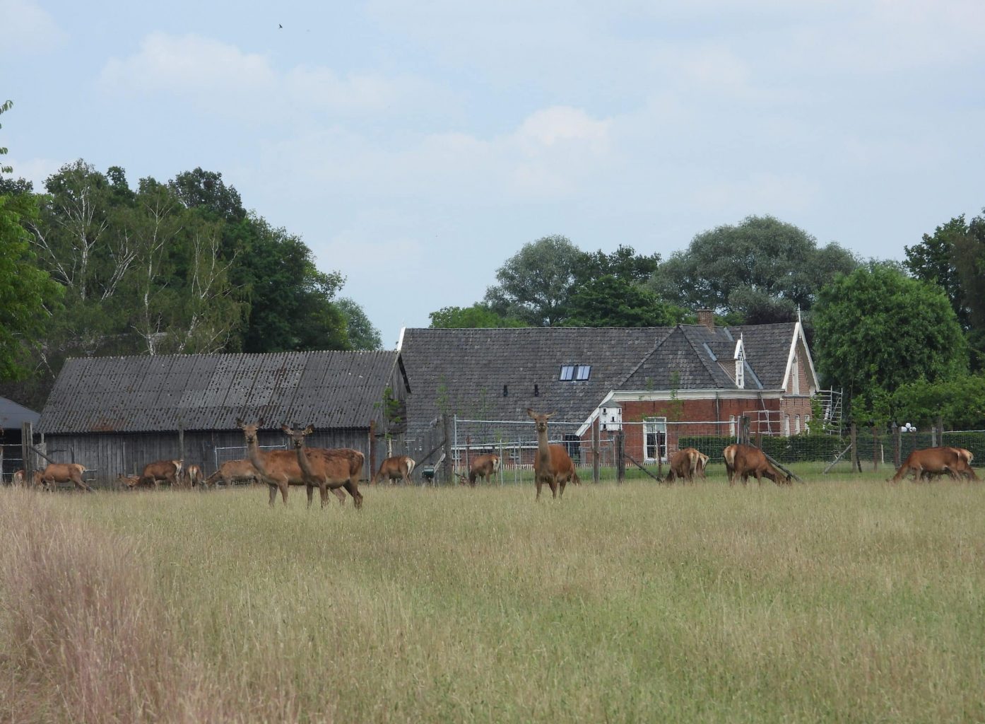 situatie asbestdak