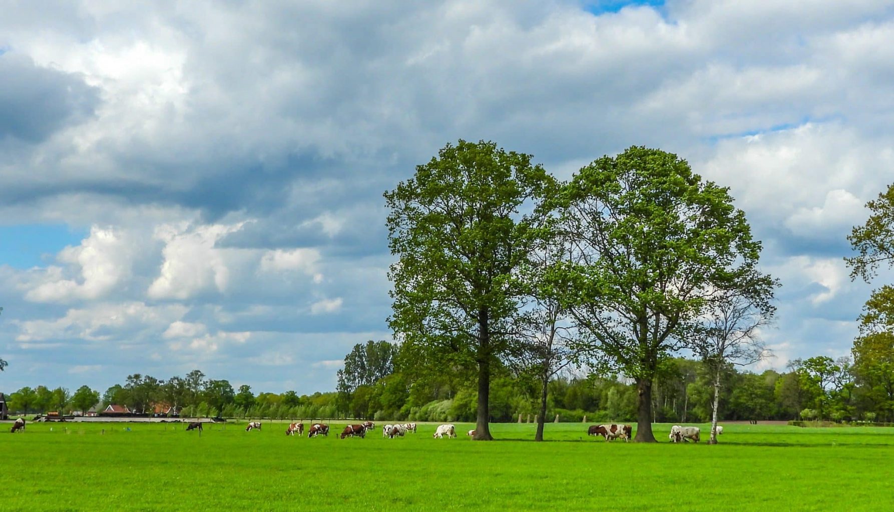 Afbeelding van het buitengebied in Berkelland